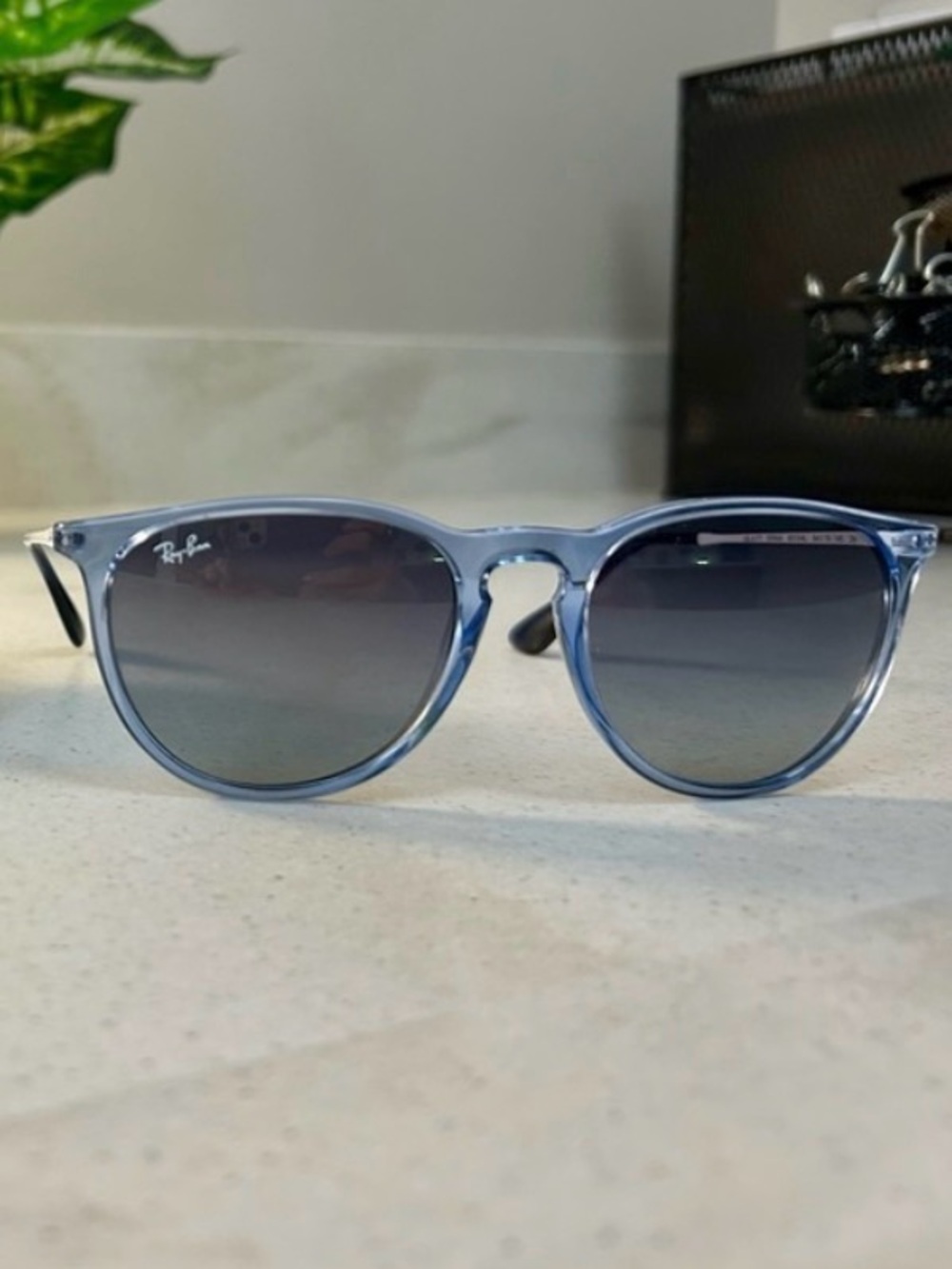 Ray-Ban Erika Sunglasses